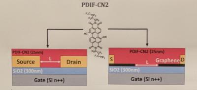 ISOF CNF researchers develop a graphene-based OFET for future OLED and OLET displays