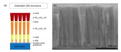 Ultraviolet light on a graphene surface could eliminate toxic mercury in UV light devices