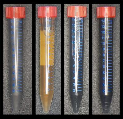 Researchers produce graphene by mixing oxidized graphite with bacteria