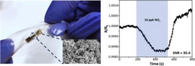 Stretchable and ultrasensitive NO2 sensors based on rGO and MOS2 nanocomposites