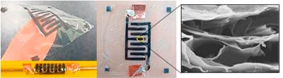 Researchers develop graphene-based supercapacitor to power wearable skin sensors