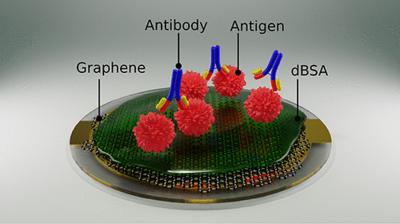 University of Manchester team develops graphene-based antibody test for detection of kidney disease