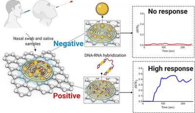 Graphene-based electrochemical sensor can detect COVID-19 in less than five minutes