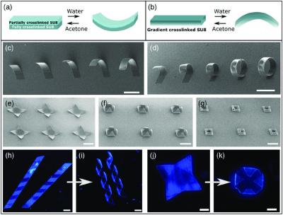 Researchers develop monolayer graphene-based reversible self-folding structures