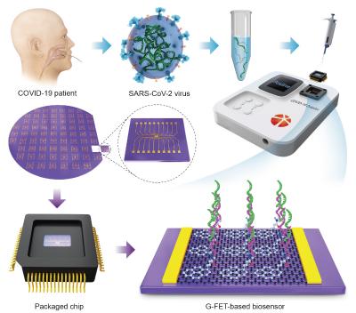 Researchers design an accurate, high-speed, portable bifunctional electrical detector for COVID-19