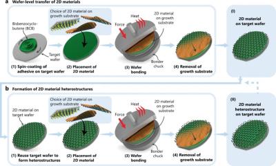 New technique may enable large-area integration of 2D materials