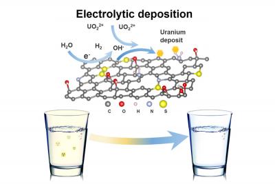 Graphene oxide foam helps filter toxins from drinking water