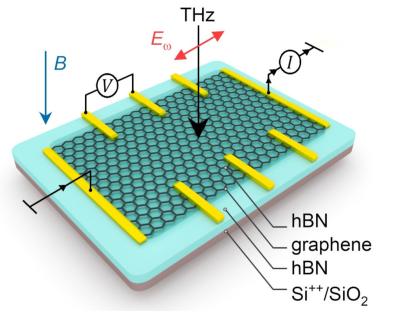 Researchers detect abnormally strong absorption of light in magnetized graphene