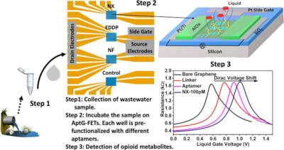 Researchers design a graphene-based sensor that can detect opioids in wastewater