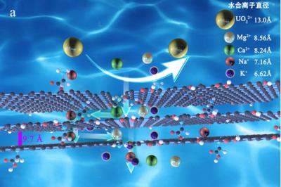 China-based researchers design new method to pre-enrich uranium in seawater using graphene oxide