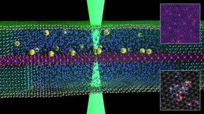 Researchers capture images of atoms ‘swimming’ in liquid