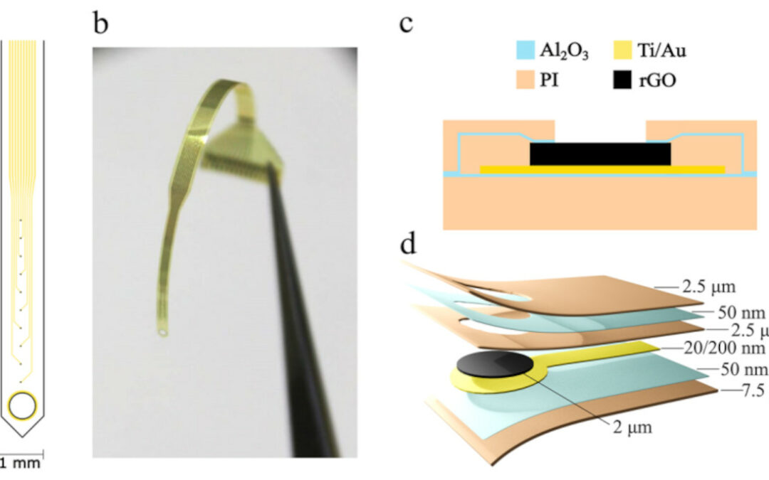 New hybrid coating advances graphene-based brain interfaces
