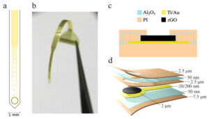 New-coating-improves-graphene-based-neural-interfaces-image - All Graphene